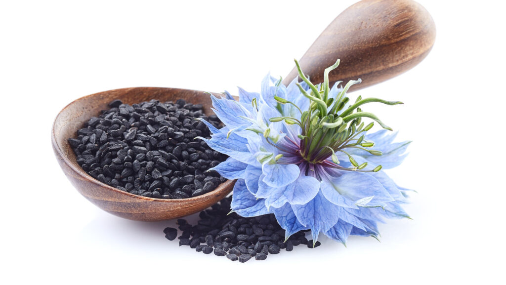 Nigella Seeds